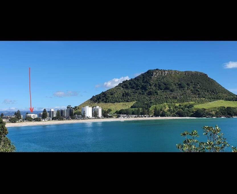 Fabulous Apartment In The Atrium, Mt Maunganui 芒格努伊山 外观 照片